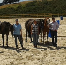  All About Horses & Waitoru Farm