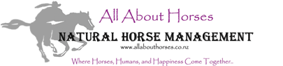 All About Horses